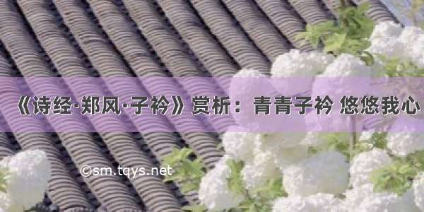 《诗经·郑风·子衿》赏析：青青子衿 悠悠我心