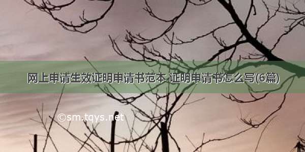 网上申请生效证明申请书范本 证明申请书怎么写(6篇)