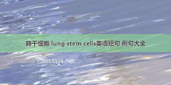 肺干细胞 lung stem cells英语短句 例句大全