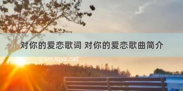 对你的爱恋歌词 对你的爱恋歌曲简介