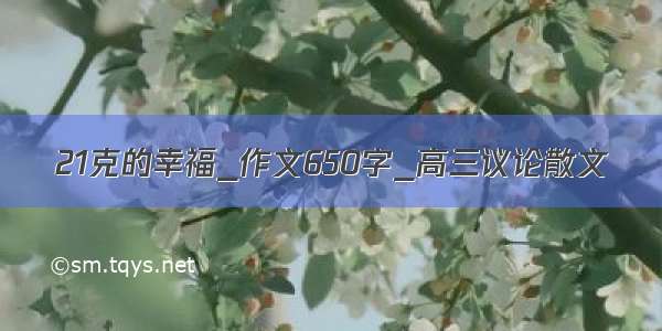 21克的幸福_作文650字_高三议论散文