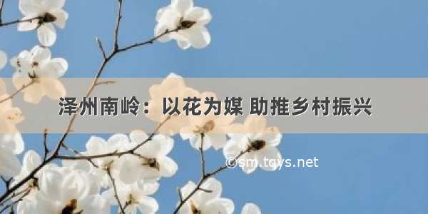 泽州南岭：以花为媒 助推乡村振兴