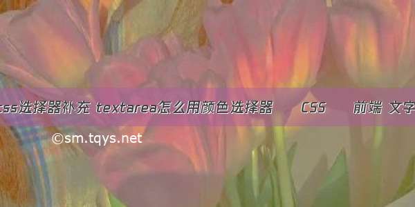 你所不了解的css选择器补充 textarea怎么用颜色选择器 – CSS – 前端 文字垂直居中 css