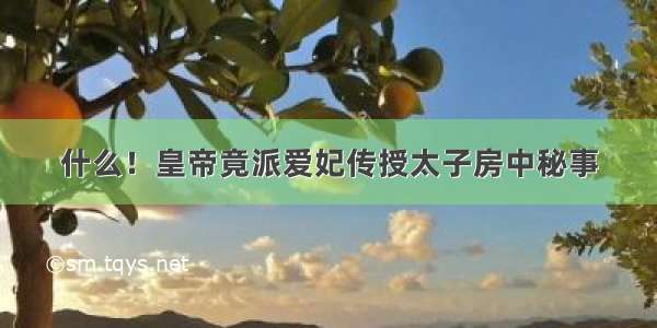 什么！皇帝竟派爱妃传授太子房中秘事