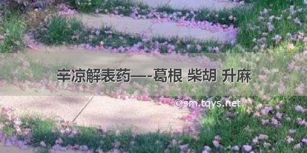 辛凉解表药—-葛根 柴胡 升麻