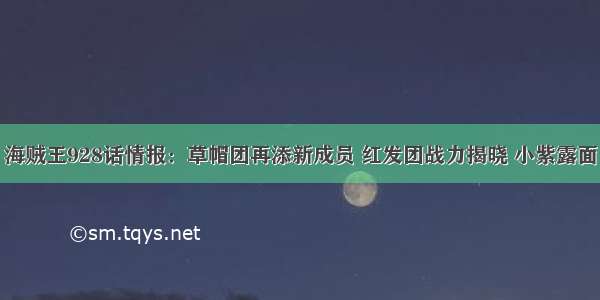 海贼王928话情报：草帽团再添新成员 红发团战力揭晓 小紫露面