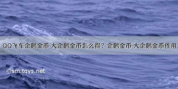 QQ飞车企鹅金币 大企鹅金币怎么得？企鹅金币 大企鹅金币作用