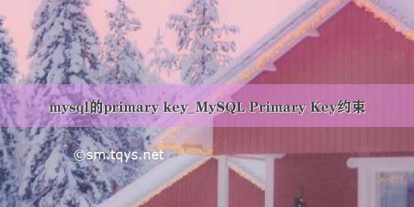 mysql的primary key_MySQL Primary Key约束