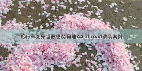 旅行车变身越野硬汉 奥迪A4 allroad改装案例