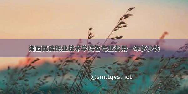 湘西民族职业技术学院各专业费用一年多少钱