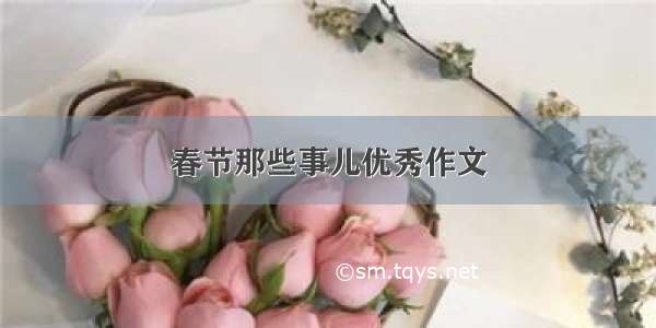 春节那些事儿优秀作文