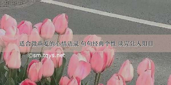 适合微商发的心情语录 句句经典个性 读完让人泪目