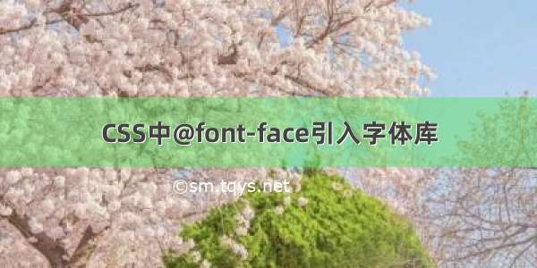 CSS中@font-face引入字体库