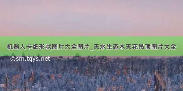 机器人卡纸形状图片大全图片_天水生态木天花吊顶图片大全