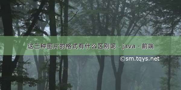 这三种图片的格式有什么区别呢 – java – 前端