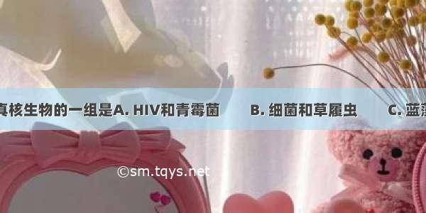 下列属于真核生物的一组是A. HIV和青霉菌　　B. 细菌和草履虫　　C. 蓝藻和酵母菌