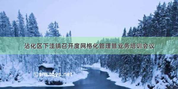 沾化区下洼镇召开度网格化管理暨业务培训会议