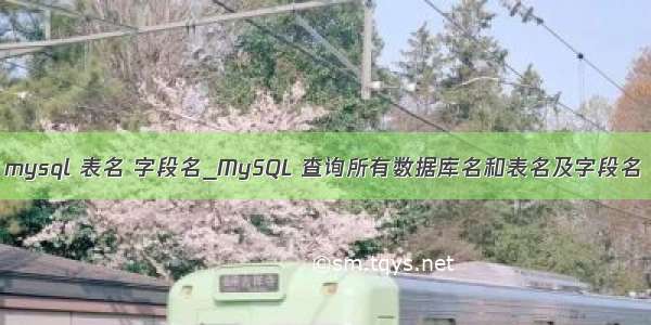 mysql 表名 字段名_MySQL 查询所有数据库名和表名及字段名