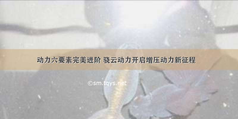 动力六要素完美进阶 骁云动力开启增压动力新征程