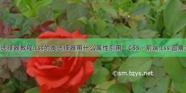 css11选择器教程 css的类选择器用什么属性引用 – CSS – 前端 css 圆角文本框