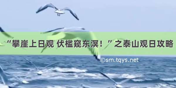 “攀崖上日观 伏槛窥东溟！”之泰山观日攻略