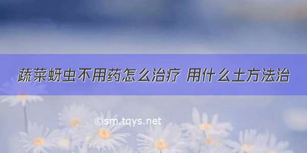 蔬菜蚜虫不用药怎么治疗 用什么土方法治