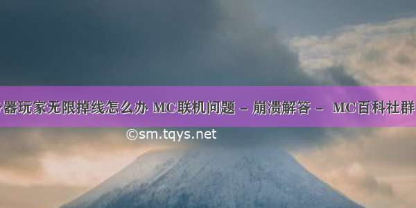 mc服务器玩家无限掉线怎么办 MC联机问题 - 崩溃解答 -  MC百科社群 -   MC