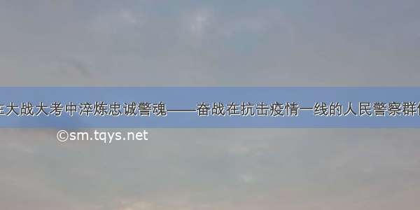 在大战大考中淬炼忠诚警魂——奋战在抗击疫情一线的人民警察群像