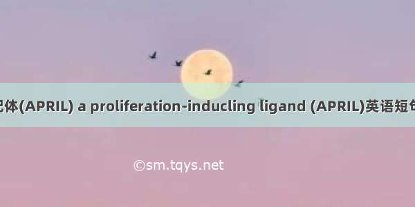 增殖诱导配体(APRIL) a proliferation-inducling ligand (APRIL)英语短句 例句大全