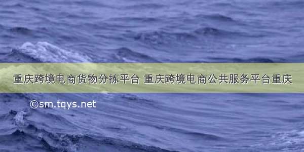 重庆跨境电商货物分拣平台 重庆跨境电商公共服务平台重庆