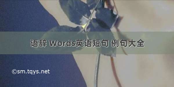 语辞 Words英语短句 例句大全