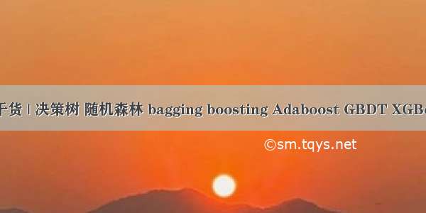 5000字干货 | 决策树 随机森林 bagging boosting Adaboost GBDT XGBoost总结