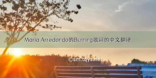 Maria Arredondo的Burning歌词的中文翻译