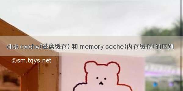 disk cache(磁盘缓存) 和 memory cache(内存缓存)的区别