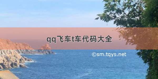 qq飞车t车代码大全