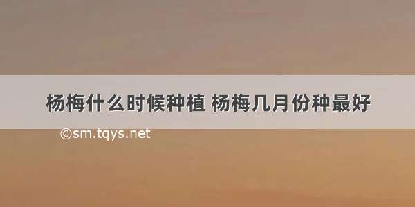 杨梅什么时候种植 杨梅几月份种最好