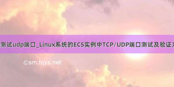 python测试udp端口_Linux系统的ECS实例中TCP/UDP端口测试及验证方法说明