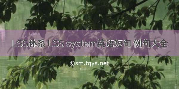 LSS体系 LSS system英语短句 例句大全