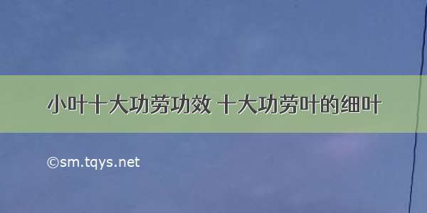 小叶十大功劳功效 十大功劳叶的细叶