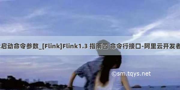 flink启动命令参数_[Flink]Flink1.3 指南四 命令行接口-阿里云开发者社区
