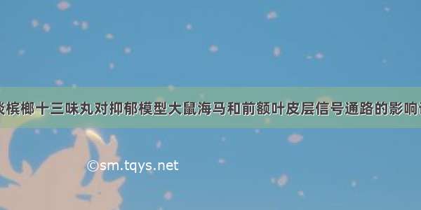 谈槟榔十三味丸对抑郁模型大鼠海马和前额叶皮层信号通路的影响论