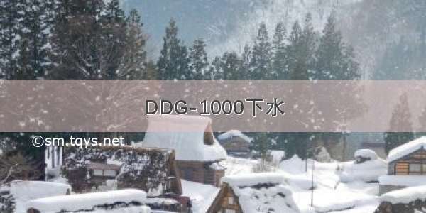 DDG-1000下水