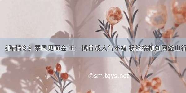 《陈情令》泰国见面会 王一博肖战人气不减 粉丝接机如同釜山行