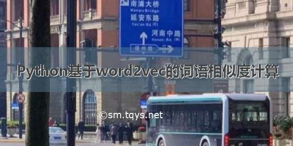 Python基于word2vec的词语相似度计算