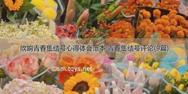 吹响青春集结号心得体会范本 青春集结号评论(9篇)