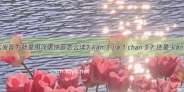 “冚家产”怎么发音？就是用汉语拼音怎么读？kan 3 jia 1 chan 3 ? 还是 kan 3 ga 1 can 3 ?