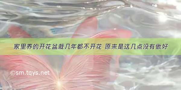 家里养的开花盆栽几年都不开花 原来是这几点没有做好