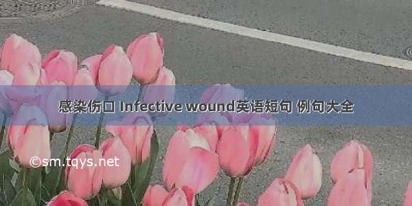 感染伤口 Infective wound英语短句 例句大全