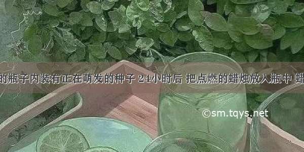 如图所示的瓶子内装有正在萌发的种子 24小时后 把点燃的蜡烛放入瓶中 蜡烛熄灭 其