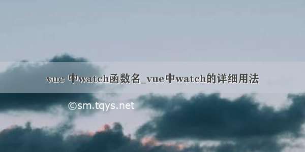 vue 中watch函数名_vue中watch的详细用法